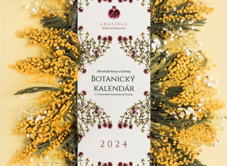 Calendário botânico lindamente ilustrado de 2024 celebra a natureza eslovaca